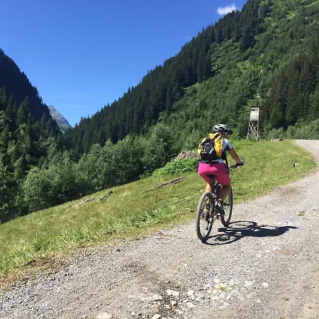 Der Steinbock - 300 Jahre Alte - Tirol Pensión Sankt Anton am Arlberg